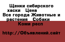 Щенки сибирского хаски › Цена ­ 12 000 - Все города Животные и растения » Собаки   . Коми респ.